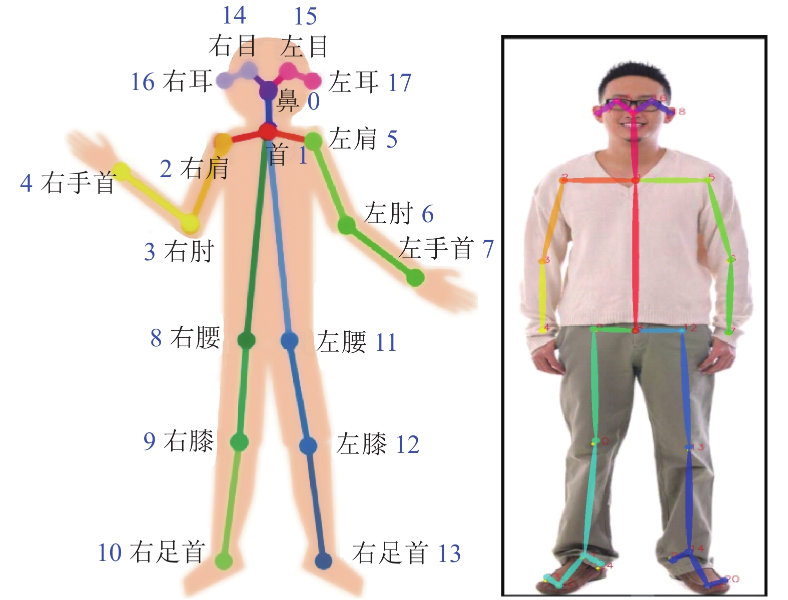 openpose人体关键点示意图