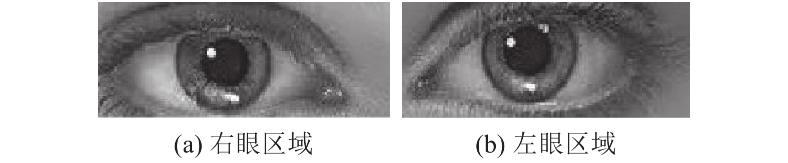 基于灰度积分投影与霍夫圆变换算法的人眼瞳距自动检测